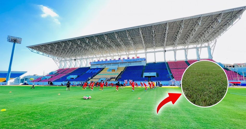 Hình minh họa Sân Vận Động Cẩm Phả 5