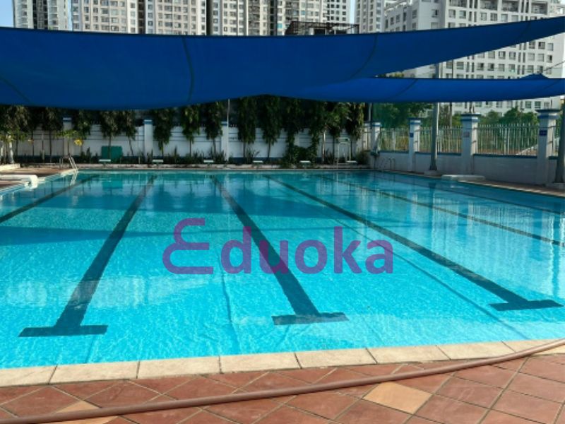 Người tập bơi đang luyện tập ở hồ bơi