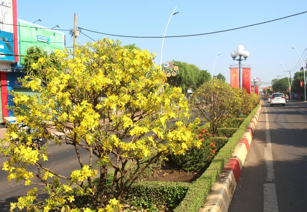 Sân khấu văn hóa đang chuẩn bị lễ hội