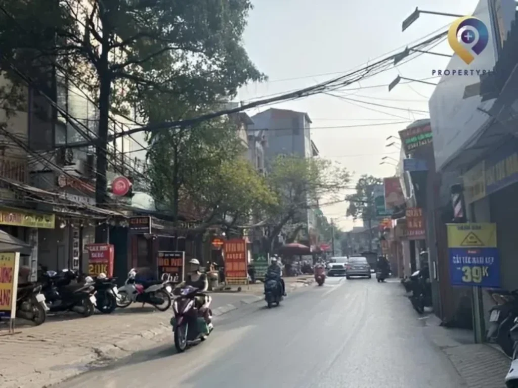 Hình minh họa Sân Vận Động C500 6