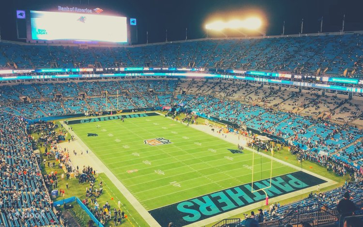 Người hâm mộ tại trận Panthers