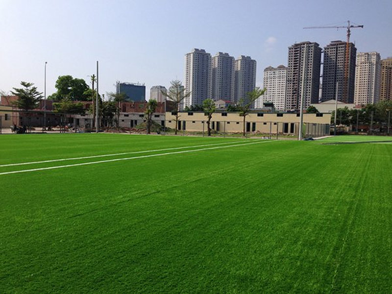 Khu vực thi đấu sân Mậu Lương