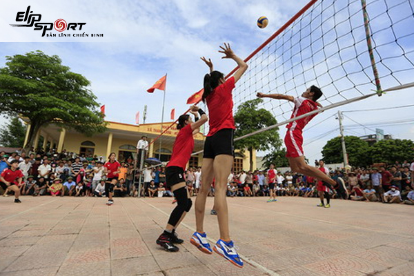 Sân bóng chuyền cho thuê tại TP.HCM