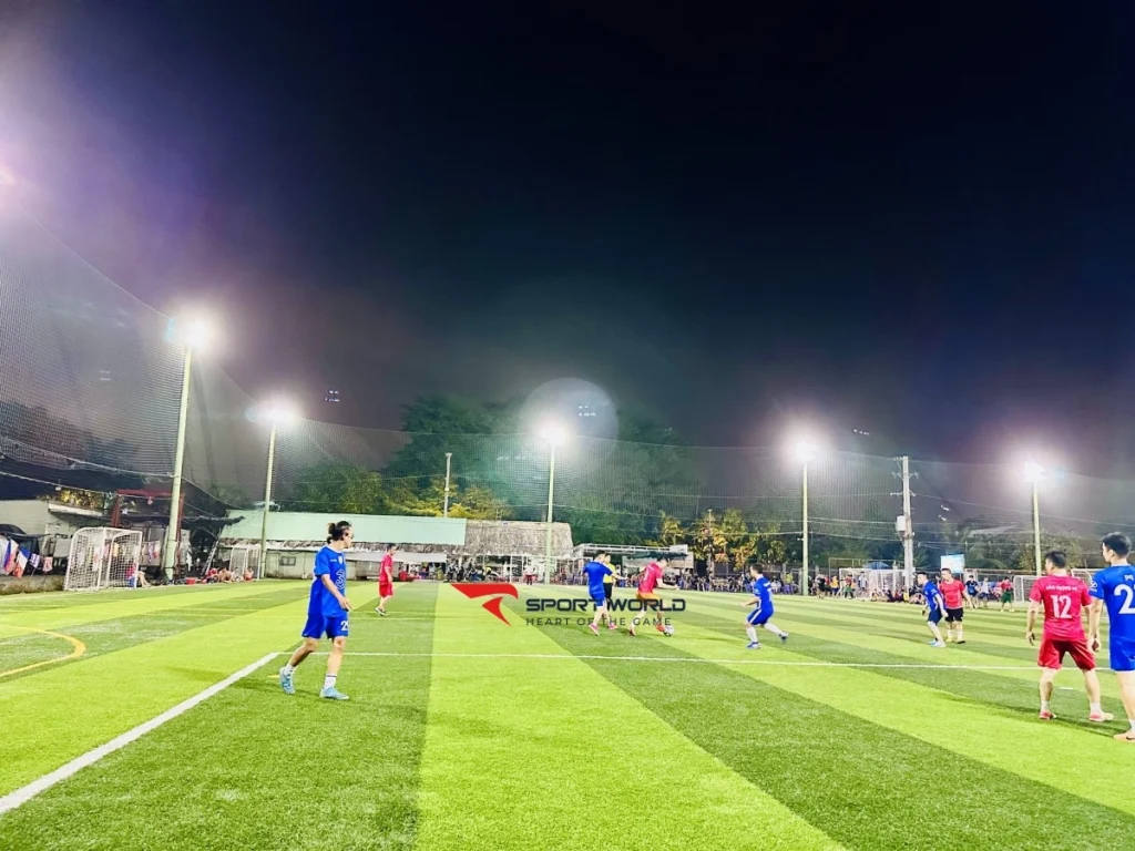 Mặt sân cỏ nhân tạo tại Cá Sấu Hoa Cà