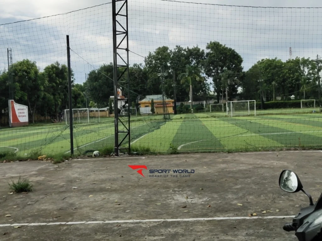 Mặt sân cỏ nhân tạo tại 230