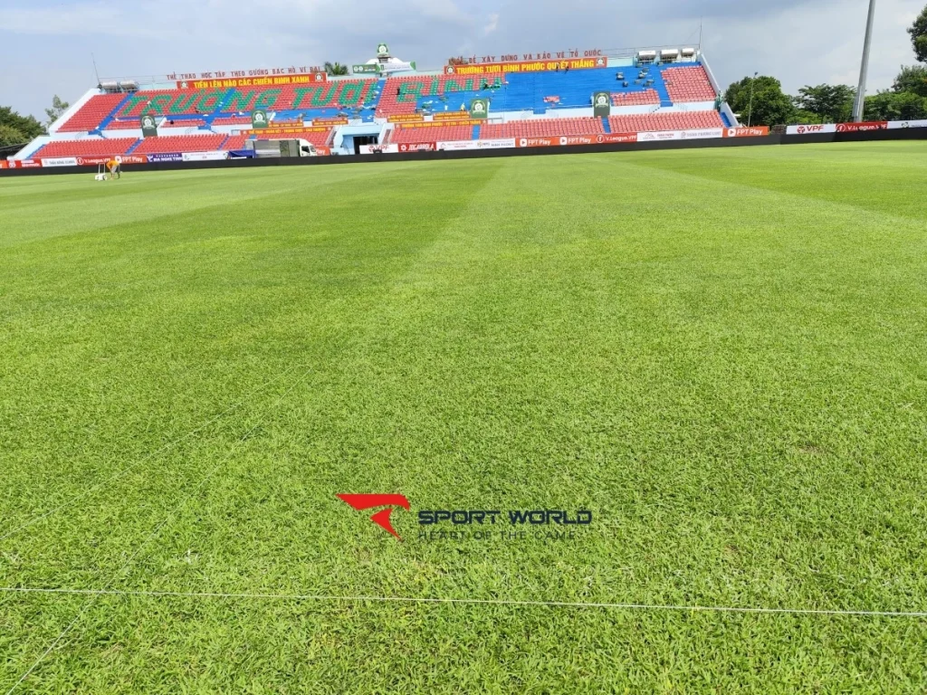 Lối vào sân tại phường Tân Bình
