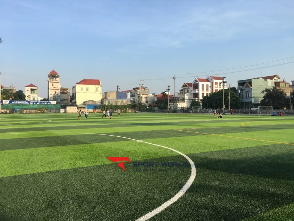 Mặt sân bóng Đằng Lâm