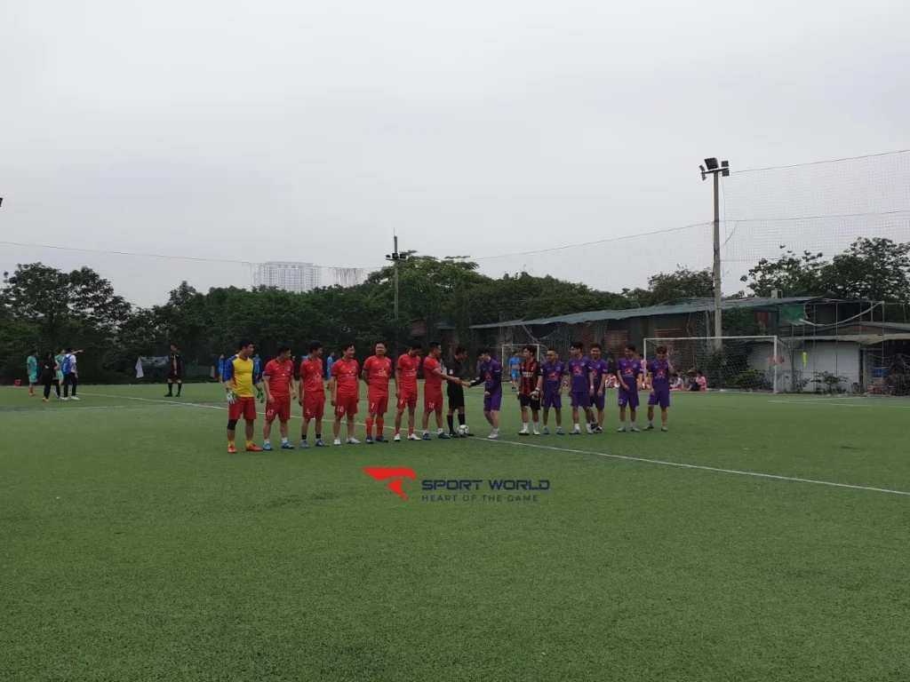 Mặt cỏ sân bóng Đại Từ