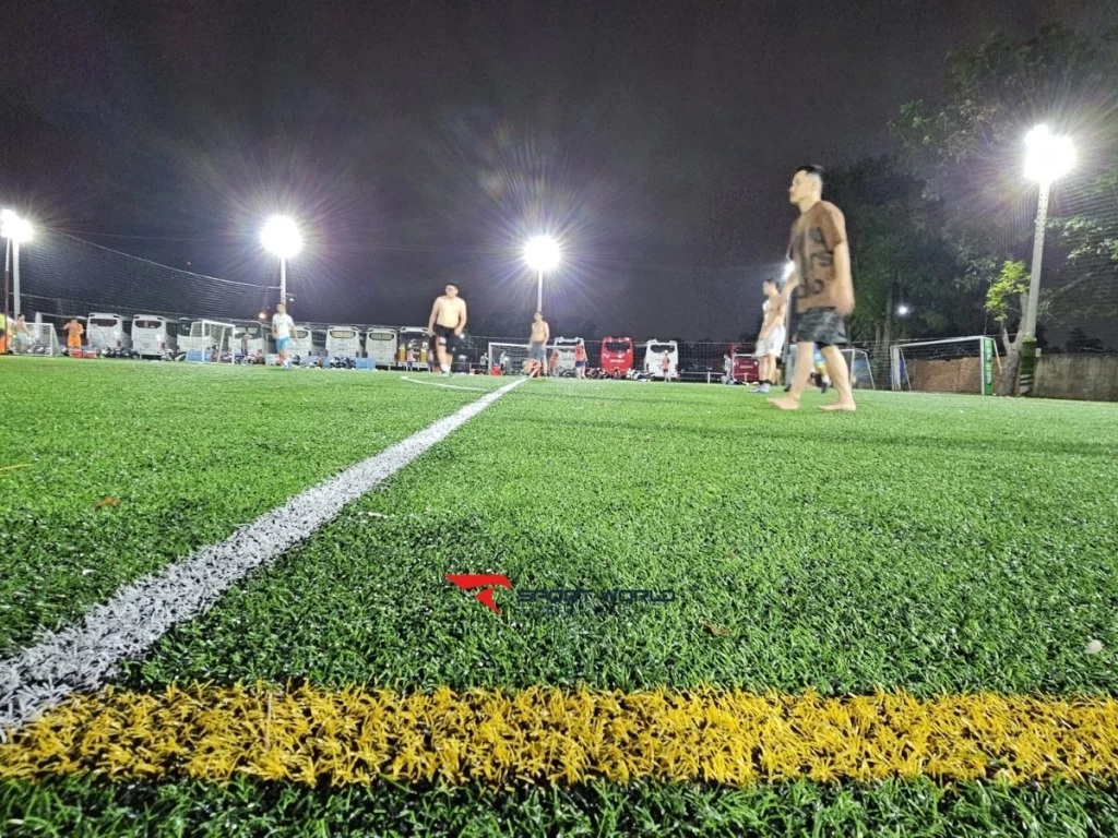 Mặt sân cỏ nhân tạo Tân Sơn