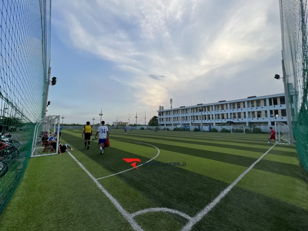 Sân cỏ nhân tạo Trần Thái