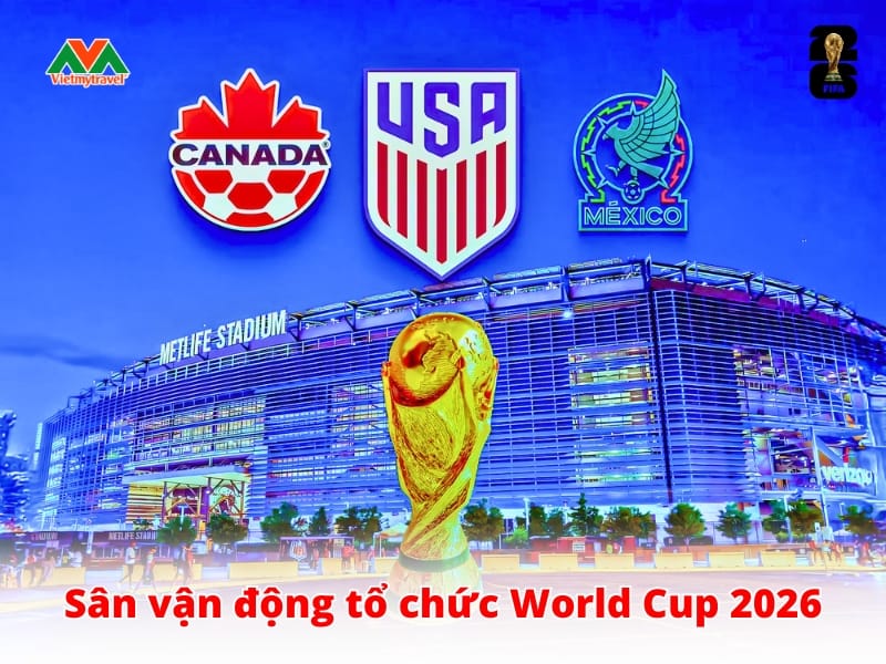 Hình minh họa Sân Vận Động Coc 6 4