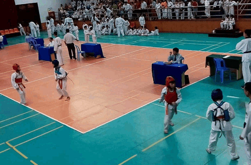 Sân thi đấu bên trong nhà thi đấu tỉnh