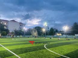 Sân cỏ nhân tạo Lê Sát